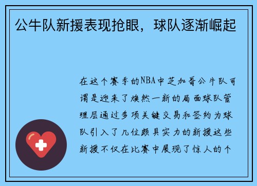 公牛队新援表现抢眼，球队逐渐崛起
